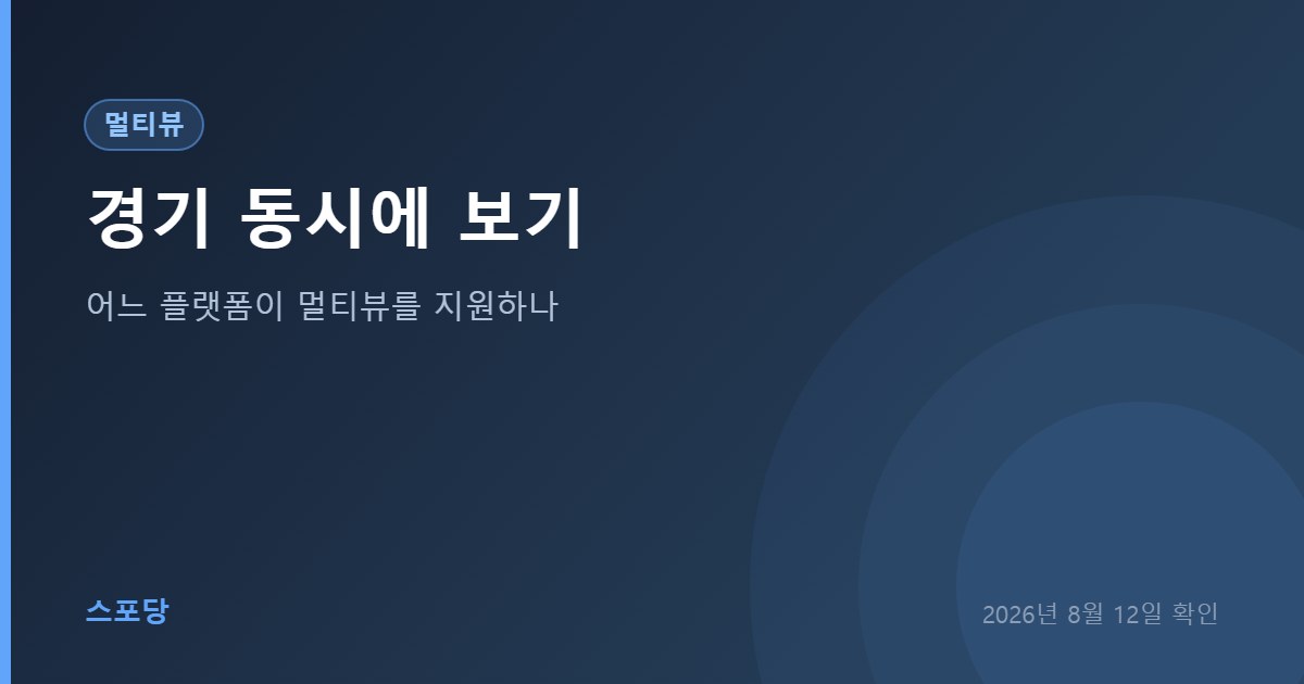 스포츠 멀티뷰 동시 시청 기능 비교 안내 이미지
